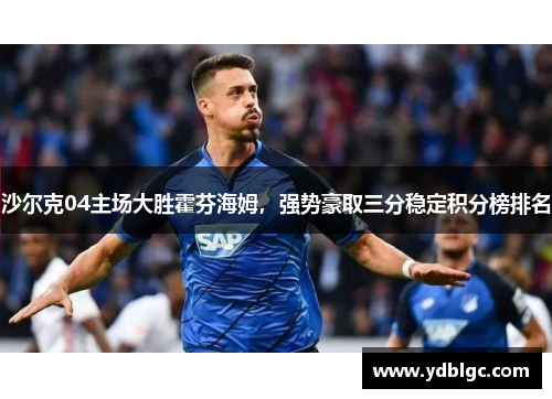 沙尔克04主场大胜霍芬海姆，强势豪取三分稳定积分榜排名