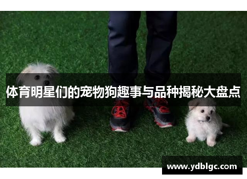 体育明星们的宠物狗趣事与品种揭秘大盘点
