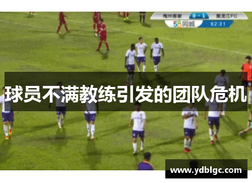球员不满教练引发的团队危机